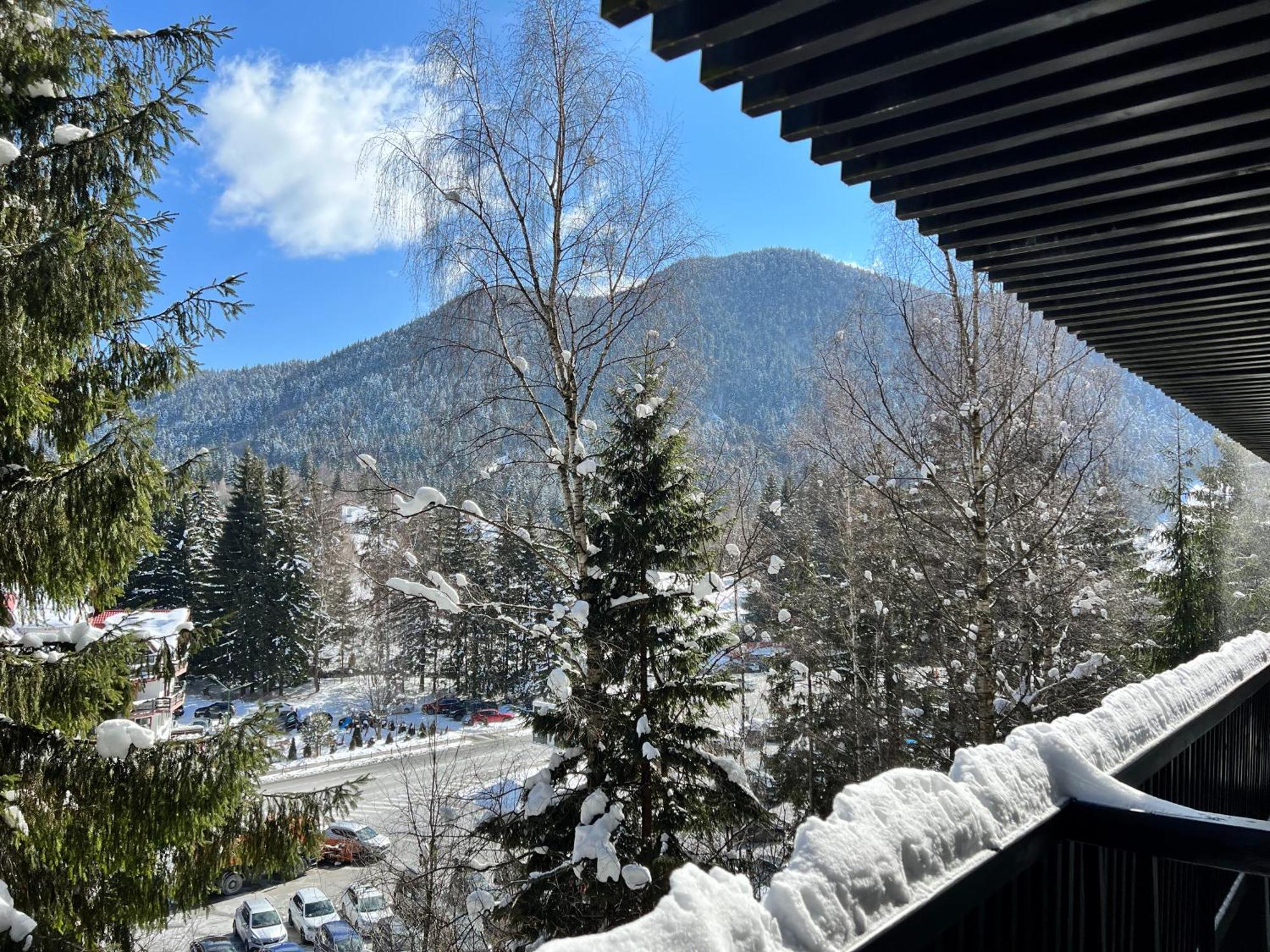 Apartment 2305 Hotel Alpin Poiana Brașov Zewnętrze zdjęcie